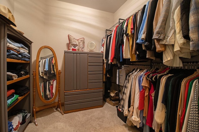 spacious closet featuring light colored carpet