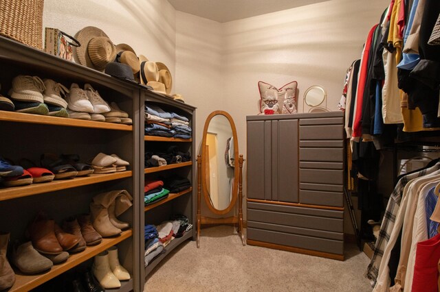 spacious closet featuring light carpet