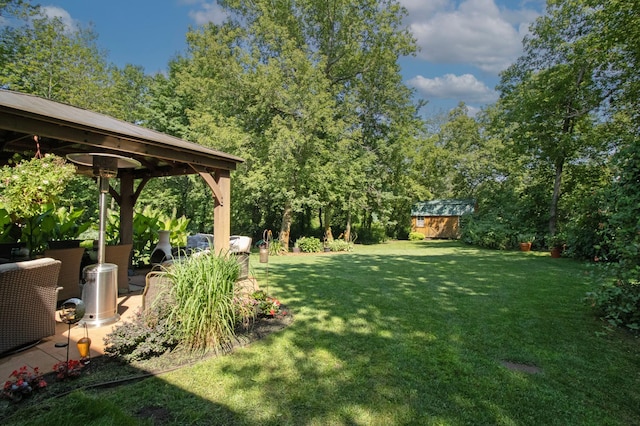 view of yard with a patio