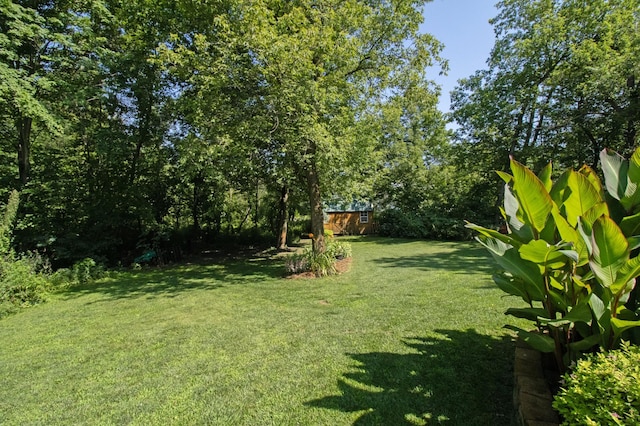 view of yard featuring an outbuilding and a shed