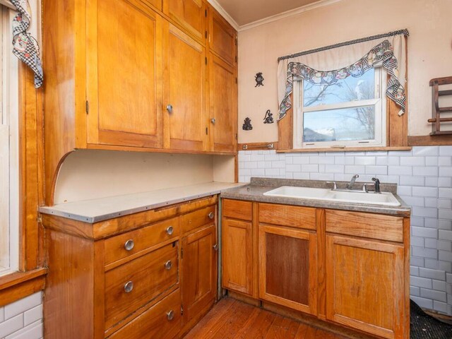 kitchen with crown molding, dark hardwood / wood-style flooring, and sink