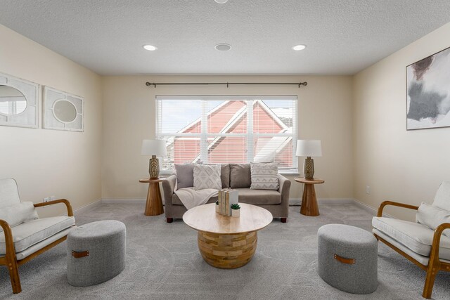 sitting room with baseboards, a textured ceiling, carpet, and a healthy amount of sunlight