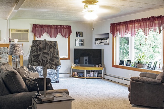 10873 69th Ave N, Maple Grove, MN 55369 - carpeted living area with a baseboard radiator and a wall unit AC