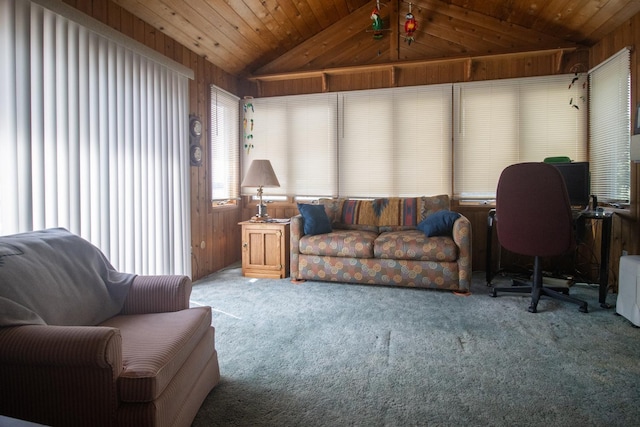 10873 69th Ave N, Maple Grove, MN 55369 - living area with lofted ceiling, wooden walls, and carpet
