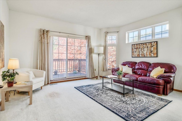 view of carpeted living room