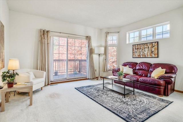 1229 Clarence St, Saint Paul, MN 55106 - view of carpeted living room