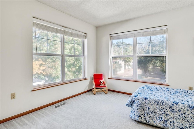 carpeted bedroom featuring a textured ceiling and multiple windows