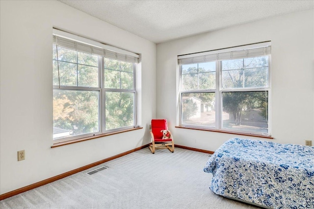 1229 Clarence St, Saint Paul, MN 55106 - carpeted bedroom with baseboards and a textured ceiling