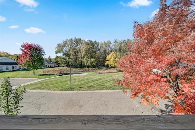 1229 Clarence St, Saint Paul, MN 55106 - view of grassy yard