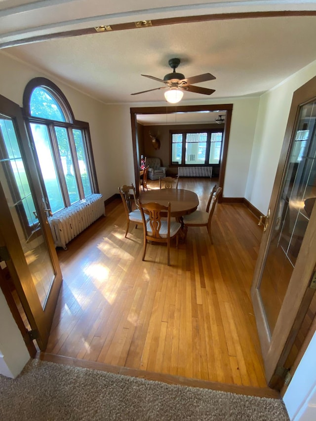 dining room with plenty of natural light, ceiling fan, ornamental molding, and light wood-type flooring