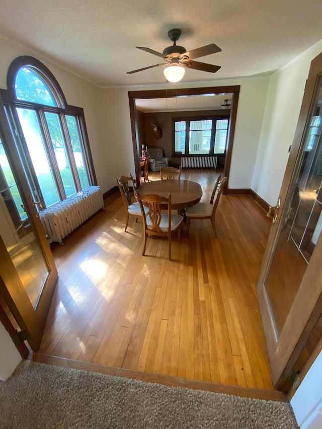 dining area featuring ceiling fan, light wood-type flooring, and radiator