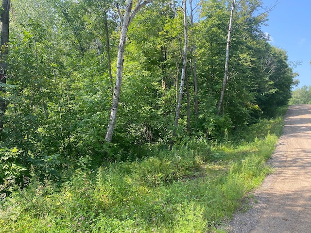 LOTS5-10 Mid Iron, Kathio Twp MN, 56450 land for sale