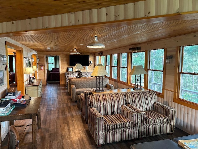 7155 Oak Narrows Rd, Greenwood Twp, MN 55723 - living area featuring wood walls, wood finished floors, and plenty of natural light