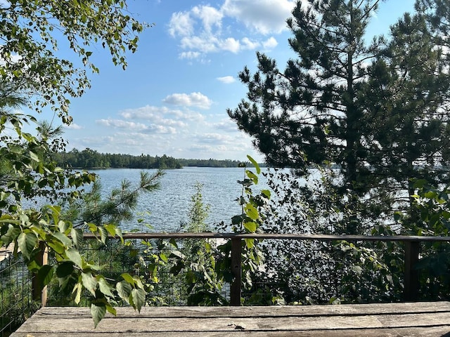 7155 Oak Narrows Rd, Greenwood Twp, MN 55723 - water view featuring a boat dock