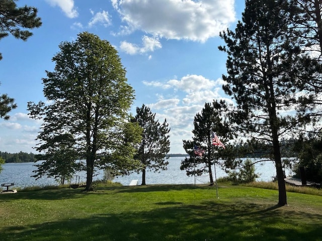 7155 Oak Narrows Rd, Greenwood Twp, MN 55723 - view of home's community with a water view and a lawn
