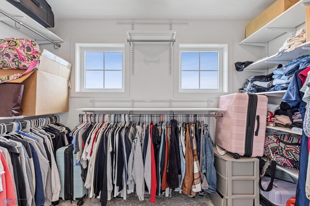 spacious closet with carpet flooring