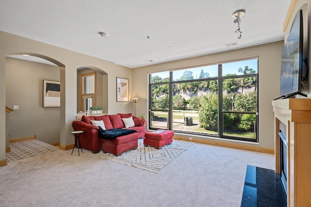 living room with a textured ceiling and carpet floors