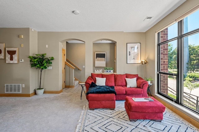 carpeted living room with a textured ceiling and plenty of natural light