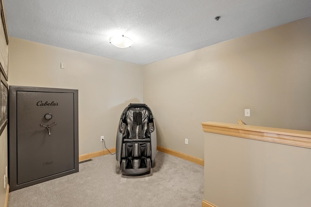 misc room with a textured ceiling and carpet floors