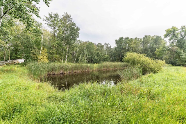 view of landscape with a wooded view and a water view