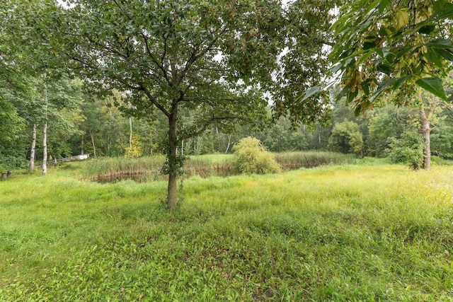 view of yard with a forest view