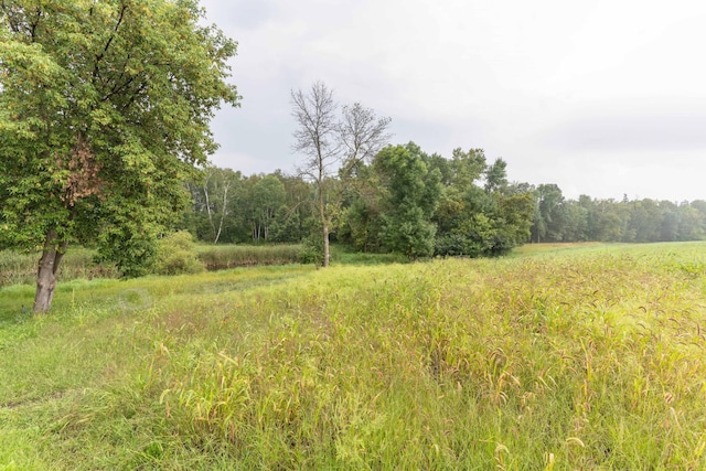 view of local wilderness featuring a wooded view