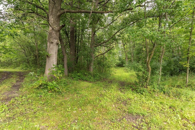 view of nature featuring a forest view