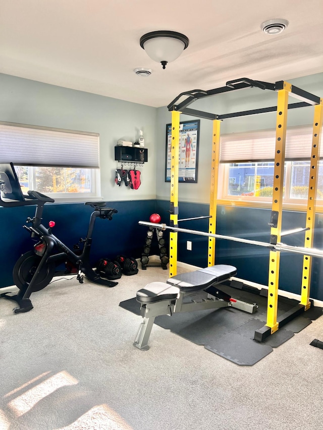 workout area featuring a healthy amount of sunlight and carpet flooring