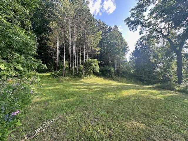 view of yard featuring a view of trees