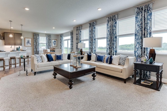 living room featuring sink and light carpet