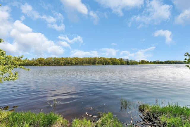 41728 County Road 1, Brockway Twp MN, 56367 land for sale