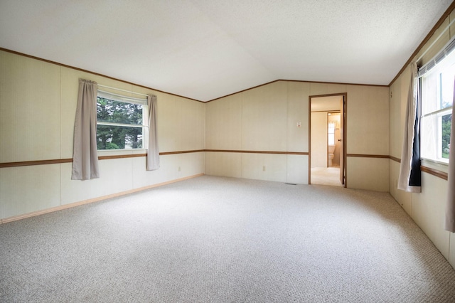 unfurnished room featuring lofted ceiling, carpet flooring, plenty of natural light, and a textured ceiling