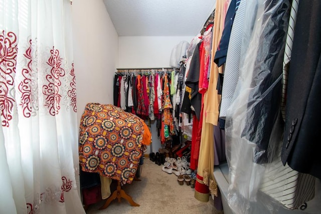 spacious closet with carpet floors