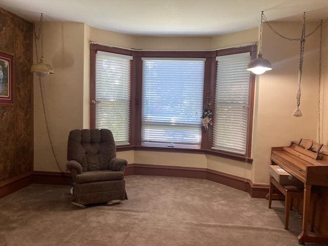 living area with carpet flooring and baseboards