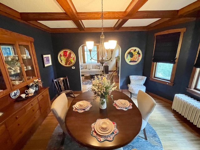38364 200th St, Springfield, MN 56087 - dining room with an inviting chandelier, radiator, wood finished floors, plenty of natural light, and coffered ceiling