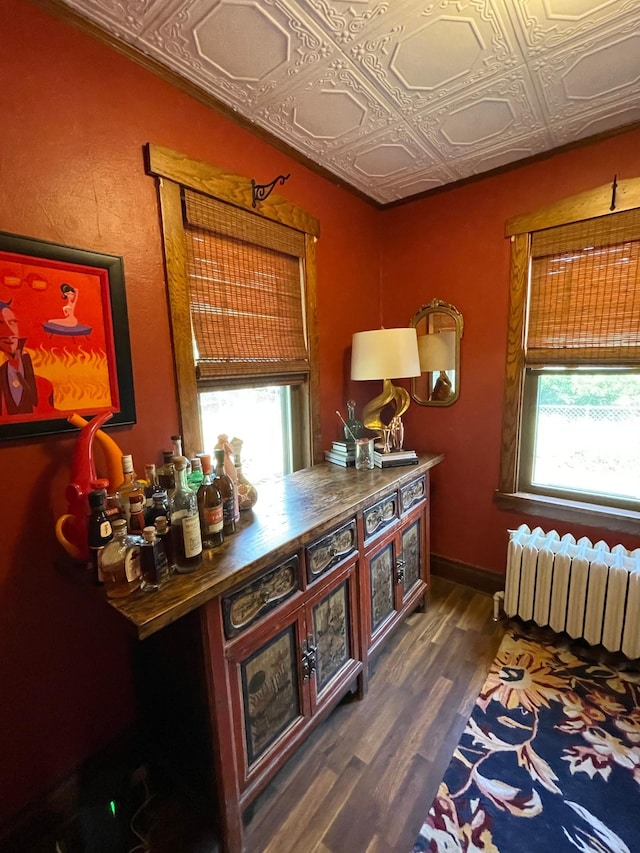 38364 200th St, Springfield, MN 56087 - interior space featuring radiator heating unit, an ornate ceiling, and dark wood-style floors