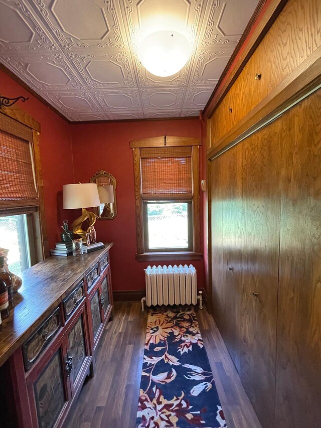 38364 200th St, Springfield, MN 56087 - hall featuring radiator, an ornate ceiling, and dark wood-style floors