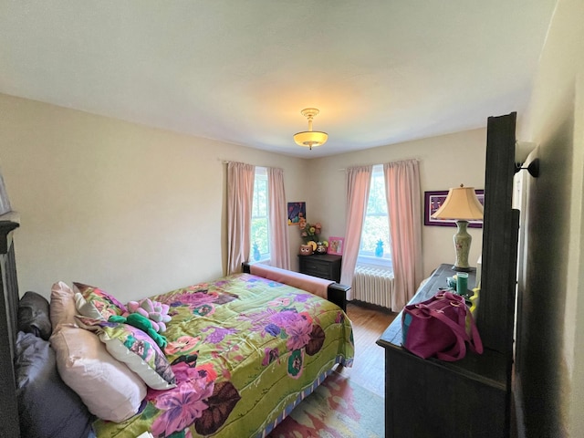 38364 200th St, Springfield, MN 56087 - bedroom featuring light wood-style floors and radiator