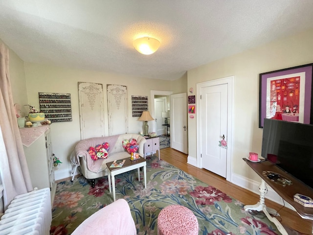 38364 200th St, Springfield, MN 56087 - living room featuring a textured ceiling, baseboards, radiator heating unit, and wood finished floors