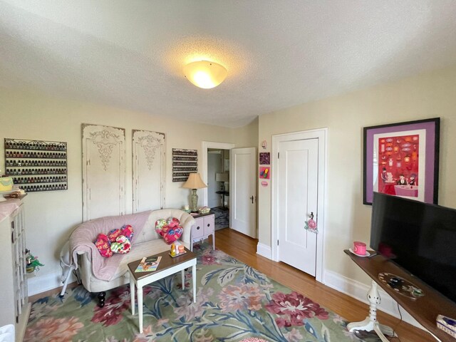 38364 200th St, Springfield, MN 56087 - living room with a textured ceiling, baseboards, and wood finished floors