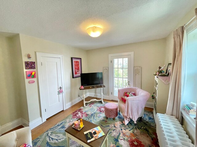 38364 200th St, Springfield, MN 56087 - living area featuring a textured ceiling, baseboards, radiator heating unit, and wood finished floors