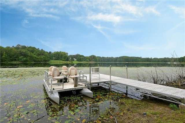 dock area featuring a rural view