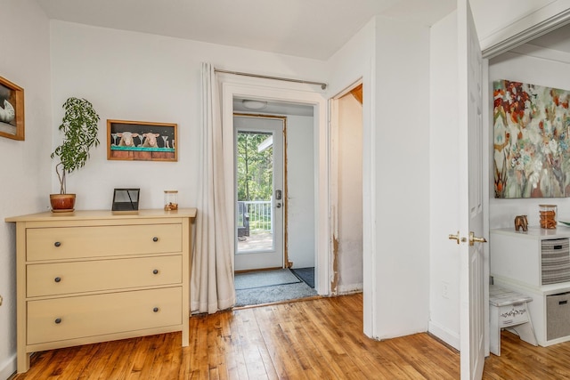 bedroom featuring light wood-type flooring, access to outside, and a closet