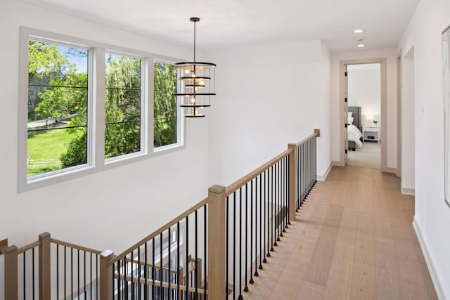 hallway with a chandelier, light hardwood / wood-style floors, and a healthy amount of sunlight