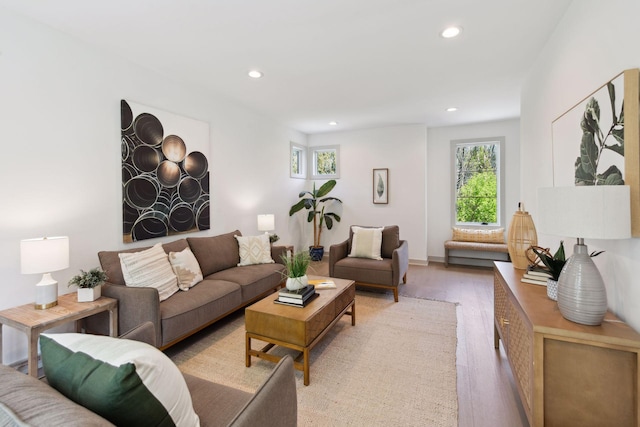 living room featuring light hardwood / wood-style flooring