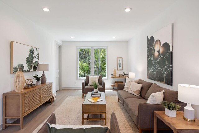 living room featuring light hardwood / wood-style floors