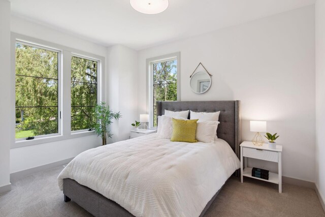 carpeted bedroom with multiple windows