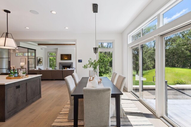 dining space with light hardwood / wood-style floors