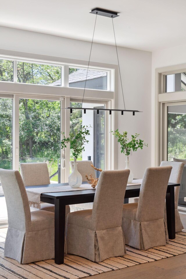 dining room with hardwood / wood-style floors