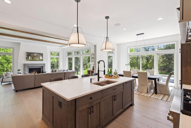 kitchen with light hardwood / wood-style floors, plenty of natural light, sink, and a center island with sink